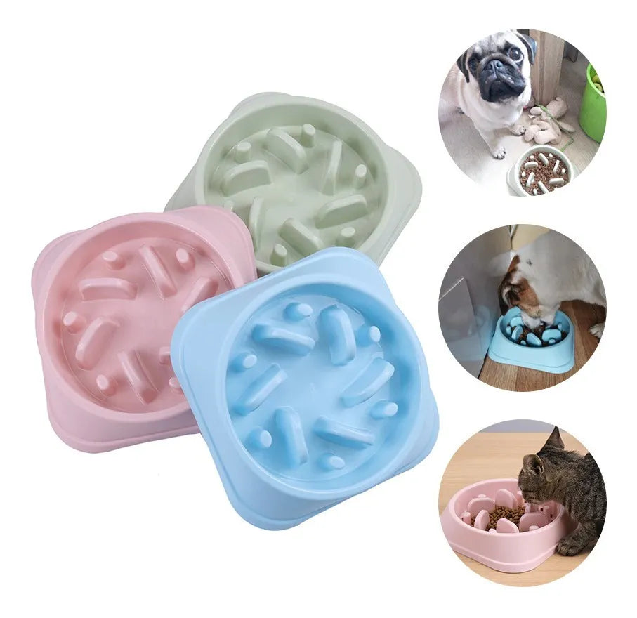 plato anti ansiedad perros come lento